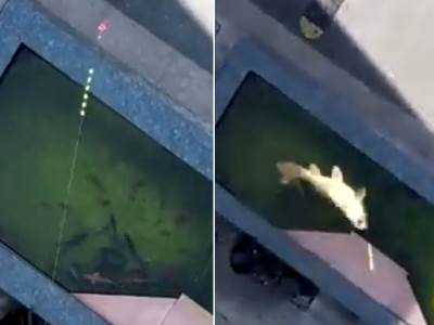  pecanje uz pomoc drona u sangaju 