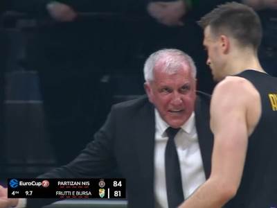  partizan zeljko aleksa avramovic  