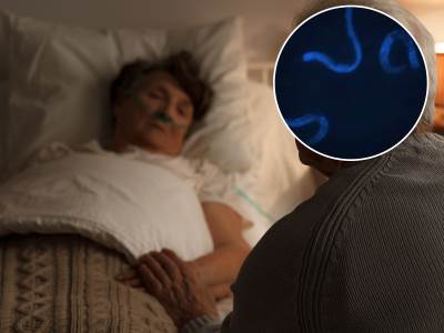  Naučnici uhvatili kamerom poslednje trenutke smrti 