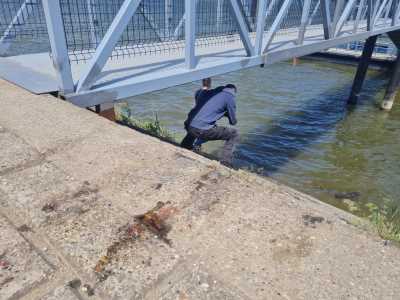  tijelo mateja perisa mjesto gdje je pronadjen 