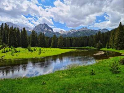 NA ŽABLJAKU SUTRA DAN ŽALOSTI!   NA ŽABLJAKU SUTRA DAN ŽALOSTI!