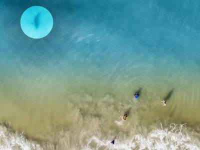  sliao djecu na plazi pa vidio ajkulu 