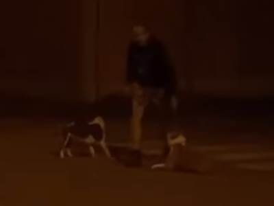  muskarac tuce psa na ulici 