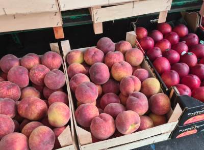  kako prepoznati zrele breskve 