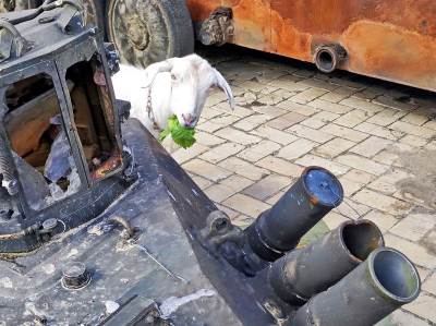  Ruski vojnici postavili su mine oko lokalne bolnice u Zaporožju kada je koza ušla 
