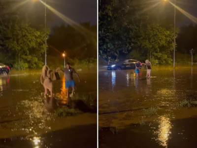  karleušu izvlače iz potopljenog vozila 