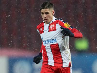  nemanja motika pozajmica 