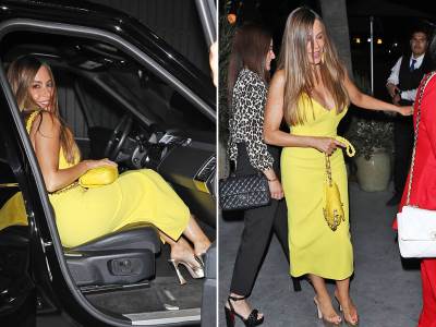  sofija vergara proslavila rođendan 