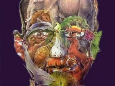  opticka iluzija skrivene zivotnije 