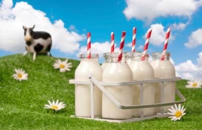  Postignut dogovor, gubitak kod izvoza mlijeka snosiće  ravnomjerno ministarstvo, farmei i mljekare 