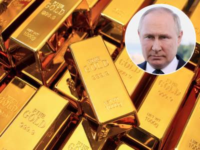  vladimir putin zlatna milijarda 