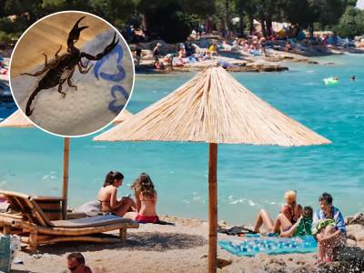  Povratak sa odmora u Hrvatskoj jednoj ženi iz Austrije ostaće u pamćenju. 