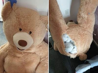  lopov se krio u plisanom medvedu 