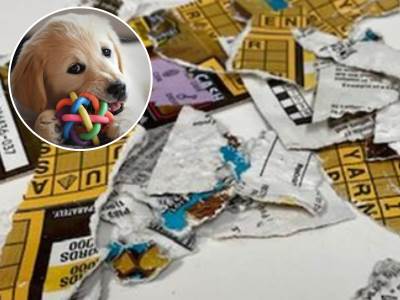  psi ratsrgli kupone za loto 