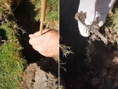  U bašti otkrili tajni grob 