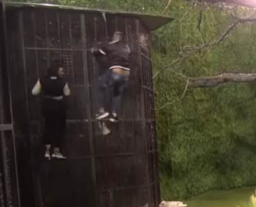  Screenshot 2022-09-25 094305.jpg 