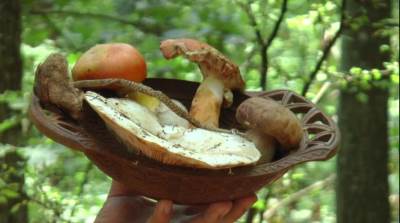  ŠTO SE SIMPTOMI TROVANJA KASNIJE POJAVE, TO JE OPASNIJE 