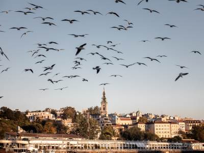  ubijen muskarac u beogradu 