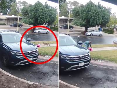  ČUO SAM VRISKE, MISLIO SAM DA JE PALA! Otac herojski spasao ćerku (2) od ZVERI, kamere snimile - ciglom oterao PREDATORA 