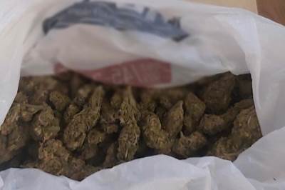  Uhapšena osoba u Kotoru zbog ulične prodaje marihuane 