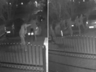  STANKO SE SAM ZALETEO NA HULIGANE U BEOGRADU 