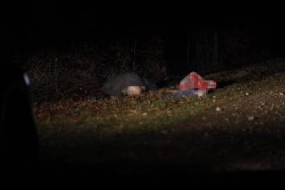  psi usmrtili vlasnika 