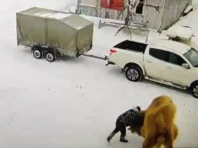  U Rusiji je kamila 51-godišnjeg muškarca oborila na zemlju i zgnječila 