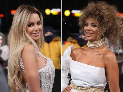  mina vrbaski o ivi grguric 