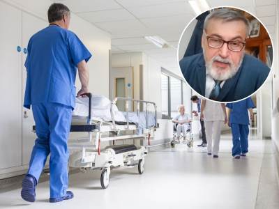  Kako izgledaju simptomi parazita koji na čoveka prenose lisice, objasnili su stručnjaci. 