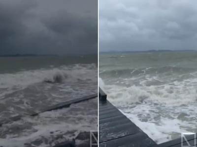  Skoro trećina Novozelanđana živi u područjima pogođenim ciklonom Gabrijel 