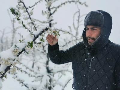  Snijeg u Srbiji uništio je voće u selima kod Čačka 
