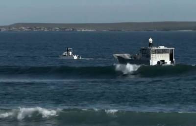 Napada ajkule usmrtio jednu osobu   Napada ajkule usmrtio jednu osobu