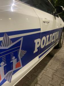  Policija u Šavniku i Plužinama pronašla oružje i municiju 