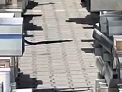  Džinovska zmija u Loznici 