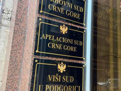  Apelacioni sud ukazao na nelogičnosti u presudi protiv specijalne tužiteljke Lidije Mitrović 