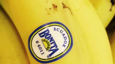  Policija među bananama pronašla 615 kilograma kokaina 