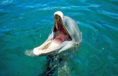 profimedia-0295036829.jpg   profimedia-0295036829.jpg