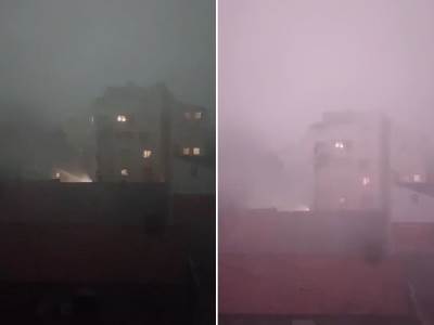  Oluja razara Novi Sad 