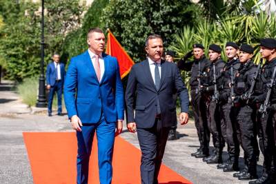  Saradnja ministarstava unutrašnjih poslova Crne Gore I S.Makedonije za primjer 