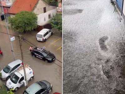  Poplava u Novom Sadu 