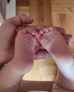  U Pljevljima rođene tri bebe vantjelesnom oplodnjom  
