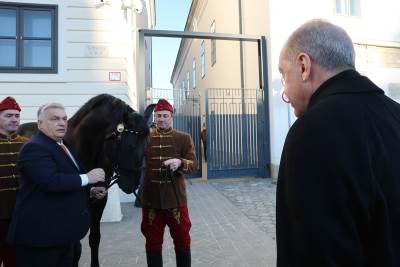  Viktor Orban poklonio konja Erdoganu 