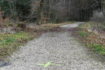  Grupno silovali djevojku u Belgiji 