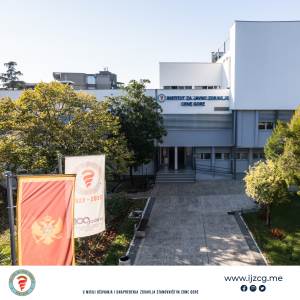  IJZCG: Korona u blagom padu, kreće sezona gripa 