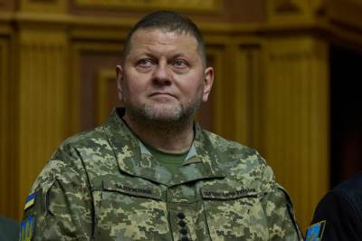  Ministarstvo odbrane Ukrajine demanantovalo je ostavko Zalužnog 