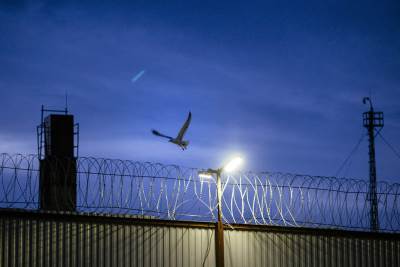 zatvor polarni vuk   zatvor polarni vuk