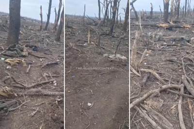  Snimci rova i mrtvih tijela na ukrajinskim teritoijama 