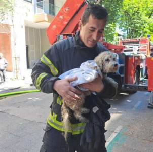  Vatrogasci spasili psa iz požara, beograđanioduševljeni ovim gestom 