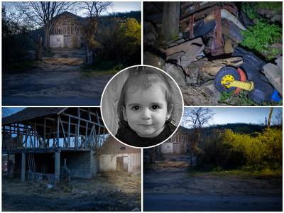 Evo dokle je stigla istraga vezana za ubistvo Danke Ilic Evo dokle je stigla istraga vezana za ubistvo Danke Ilic