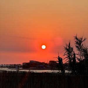 image00008.jpeg   image00008.jpeg